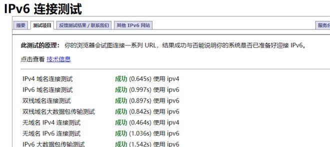 深入了解IPv6首选DNS地址的重要性（优化网络连接速度与安全性，从首选DNS地址开始）