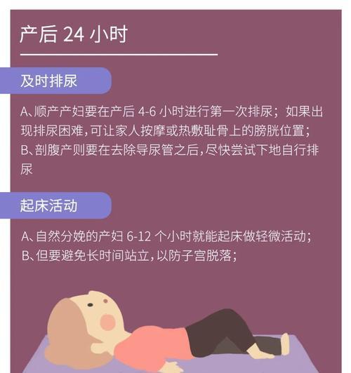 产后42天检查的重要性与项目介绍（保护妈妈与宝宝健康，了解产后42天检查内容）