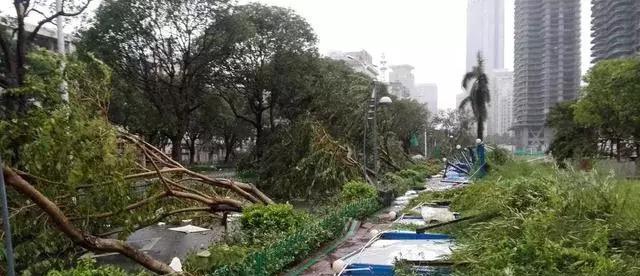 台风山竹的破坏及教训（揭秘台风山竹的威力与原因）