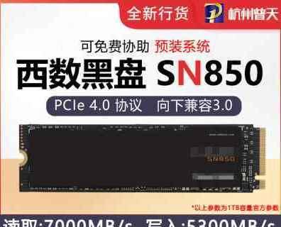 西部数据SN850X（探索西部数据SN850X固态硬盘的卓越表现）