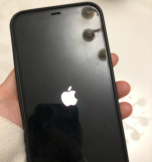 iPhone白苹果开不了机怎么办（解决iPhone白苹果问题的有效方法）