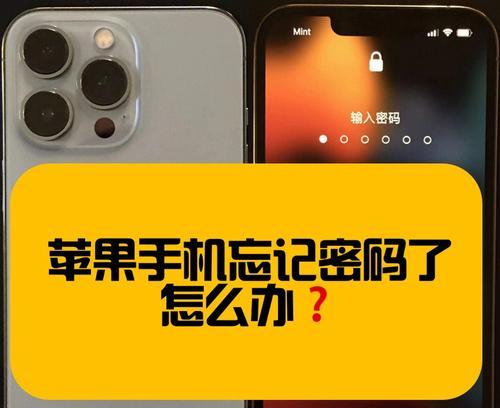 忘记vivo手机密码怎么办？（教你快速解决vivo手机密码遗忘问题）