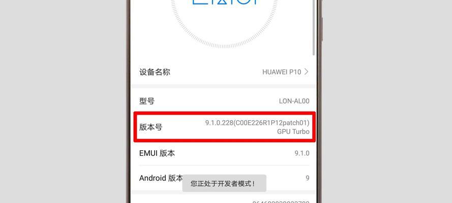 华为手机开发人员选项的设置方法（一步步教你打开华为手机的开发人员选项）