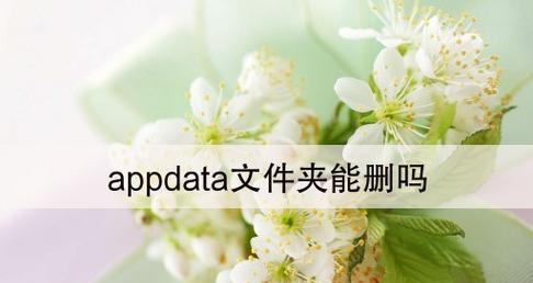 揭秘AppData文件夹（探索你电脑中隐藏的宝藏，AppData文件夹）