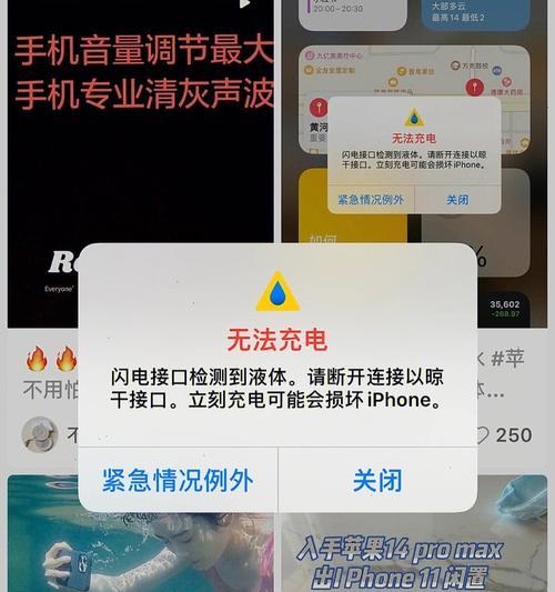 苹果手机无法充电的解决方法（遇到无法充电的情况，快速解决问题）