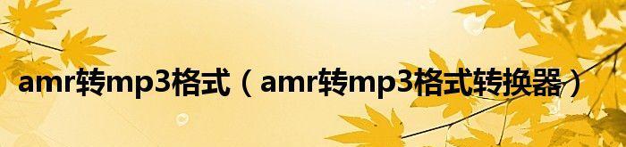 AMR文件删除恢复方法大揭秘（从误删到成功找回，教你一招搞定）