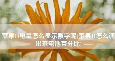 如何正确调节iPhone电量百分比（一键掌握iPhone电量管理技巧，省电又舒心）