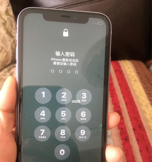 iPhone进水错误处理方法（教你如何正确处理iPhone进水问题）