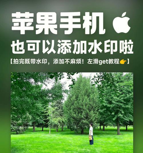 如何用iPhone照片添加水印（简单捷径帮助你轻松保护照片版权）