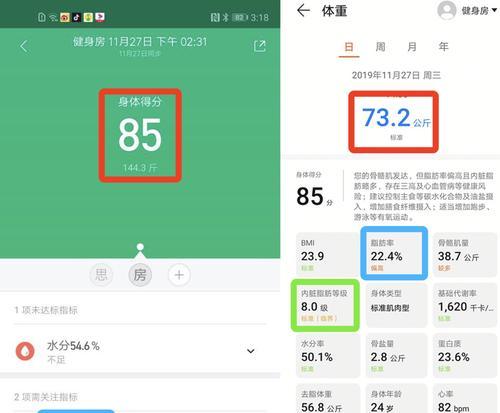 揭秘小米体脂秤2的数据查看方式（小米体脂秤2数据查看方法及相关注意事项）