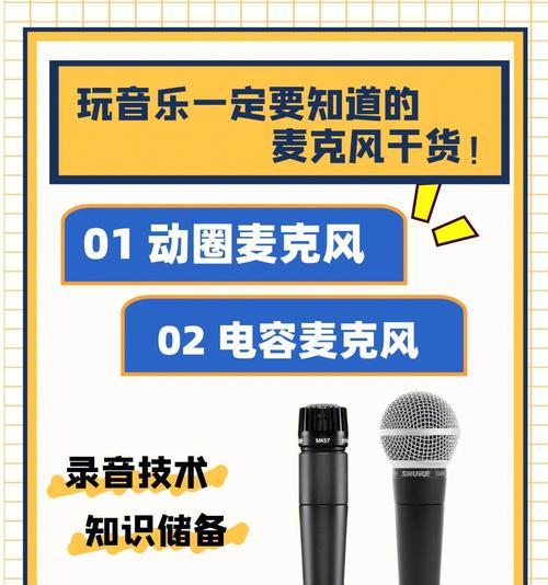 如何选择优质话筒？（掌握话筒选择技巧，打造高品质录音体验）