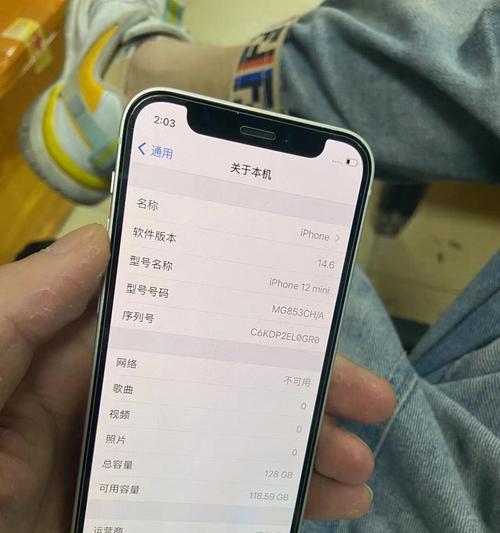 探索iPhone在线世界的多种可能性（尽览iPhone在线世界的精彩与多样性）