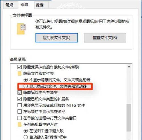 Win10操作系统中如何显示隐藏文件格式（探索Win10操作系统中隐藏文件格式的显示方法及注意事项）