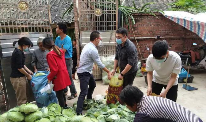 进口投影仪滞销的原因及对策探析（深度分析进口投影仪市场低迷的原因与解决之道）