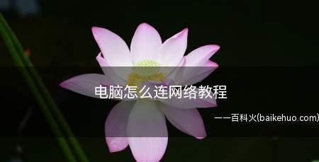 免费计算机入门自学教程（从零开始）