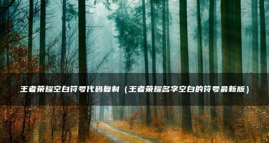 最新空白代码复制大全——简化开发，提率（掌握关键代码片段）