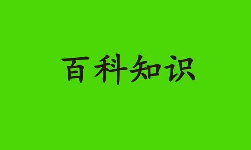 如何在Word中单独删除某一页（简单操作让你轻松删除Word文档中的指定页面）