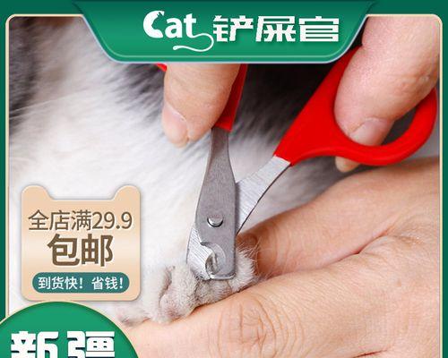 如何让猫自愿剪指甲（实用技巧帮助你与猫咪共同完成指甲修剪任务）