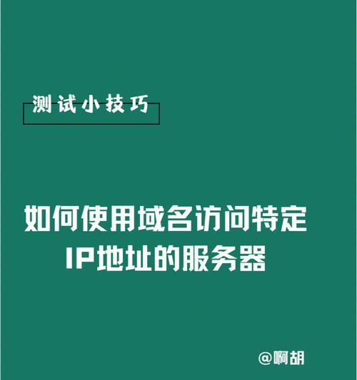 最新域名IP查询方法详解（轻松查询网站最新域名IP）