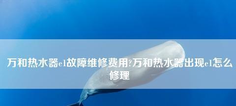 万和热水器E1故障处理维修费用全解析（了解万和热水器E1故障处理及维修费用）