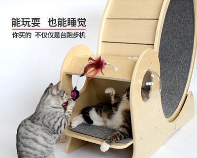 猫跑步机脱轨怎么办（如何修复猫跑步机脱轨问题）