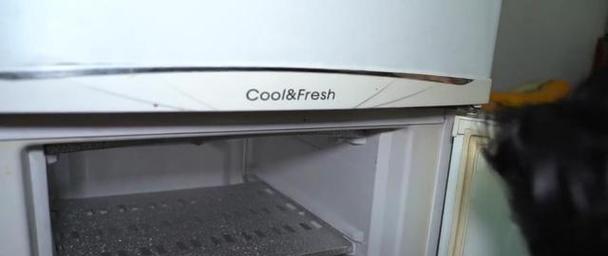 冰箱制冷噪音大的原因及解决方法（探究冰箱制冷噪音背后的问题）