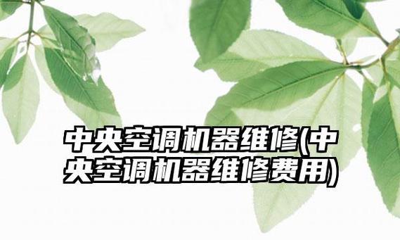 降低中央空调维修费的实用方法（节约成本）