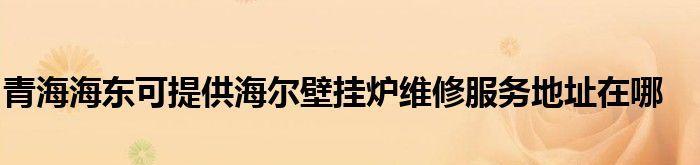 探究海尔壁挂炉02故障代码的原因和解决方法（了解海尔壁挂炉故障代码02的含义及常见问题）