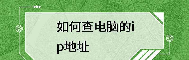 全面了解查找IP地址的方法大全（掌握IP地址查询技巧）