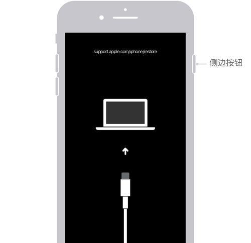 忘记iPhone访问限制密码（从忘记密码到解锁成功）