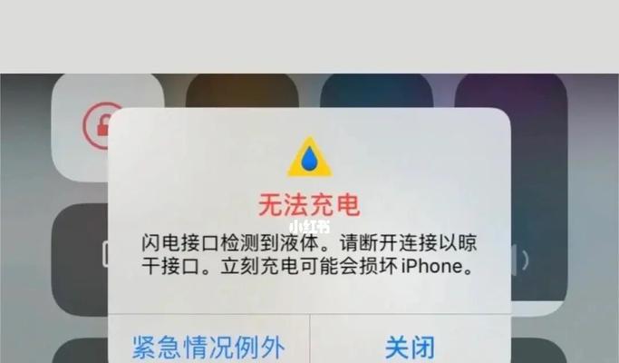 如何解决iPhone手机无法充电的问题（探究充电标识缺失的原因及解决方案）