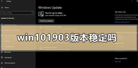 挑选适合你的稳定好用的Win10版本（Windows10版本选择指南）