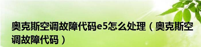 新科空调E5故障检测指南（解决新科空调E5故障的有效方法）