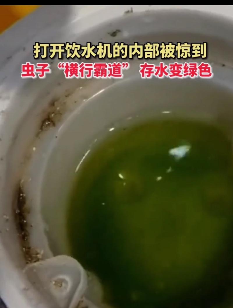 饮水机出现小虫的原因及解决方法（饮水机卫生问题的根源与有效的解决办法）