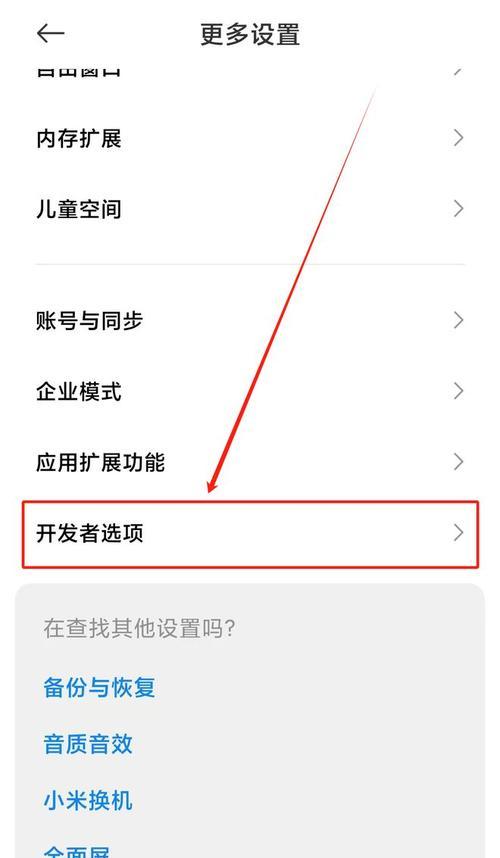 开发者选项在哪里打开？如何快速启用？