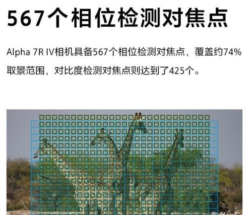 索尼a7m4对比a7r4：哪个更适合摄影爱好者？